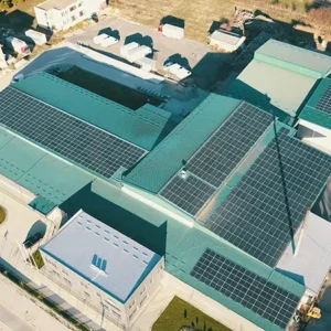 Biljni čaj od nane 3